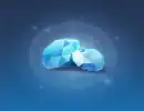50 + 5